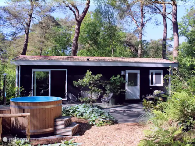 Chalet 4p en forêt avec sauna et bain à remous | Pays-Bas, Drenthe, Diever - chalet Chalet 4p en forêt avec sauna et bain à remous | Pays-Bas, Drenthe, Diever - chalet