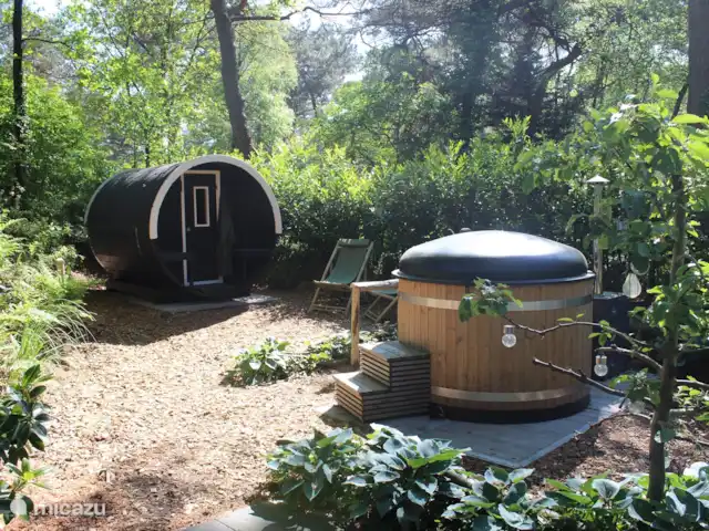 Chalet 4p en forêt avec sauna et bain à remous | Pays-Bas, Drenthe, Diever - chalet sauna et bain à remous dans le jardin privé