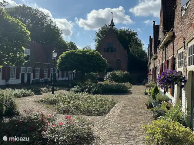 Chalet confortable à Naaldwijk | Pays-Bas, Hollande méridionale, Naaldwijk - maison mitoyenne Chalet confortable à Naaldwijk