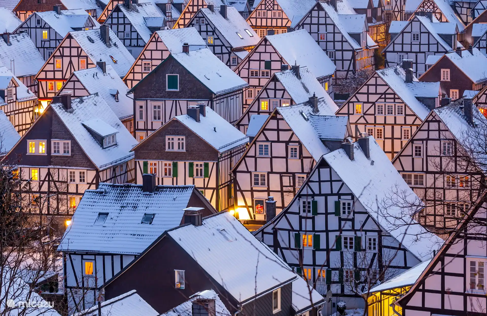 Half-timbered houses