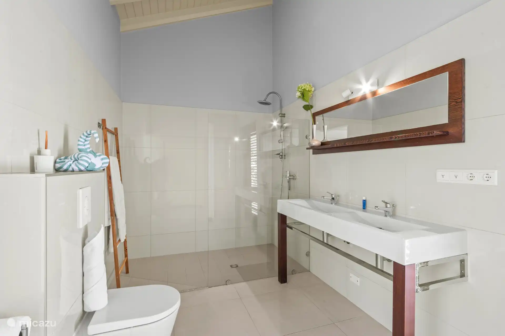 Private bathroom master bedroom 