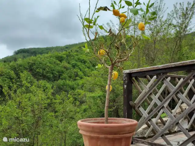 Ca' San Biagio | Italie, Piémont, Monesiglio - villa Citron