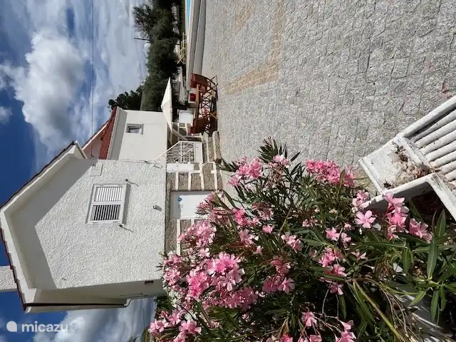Maison avant avec terrasse. 