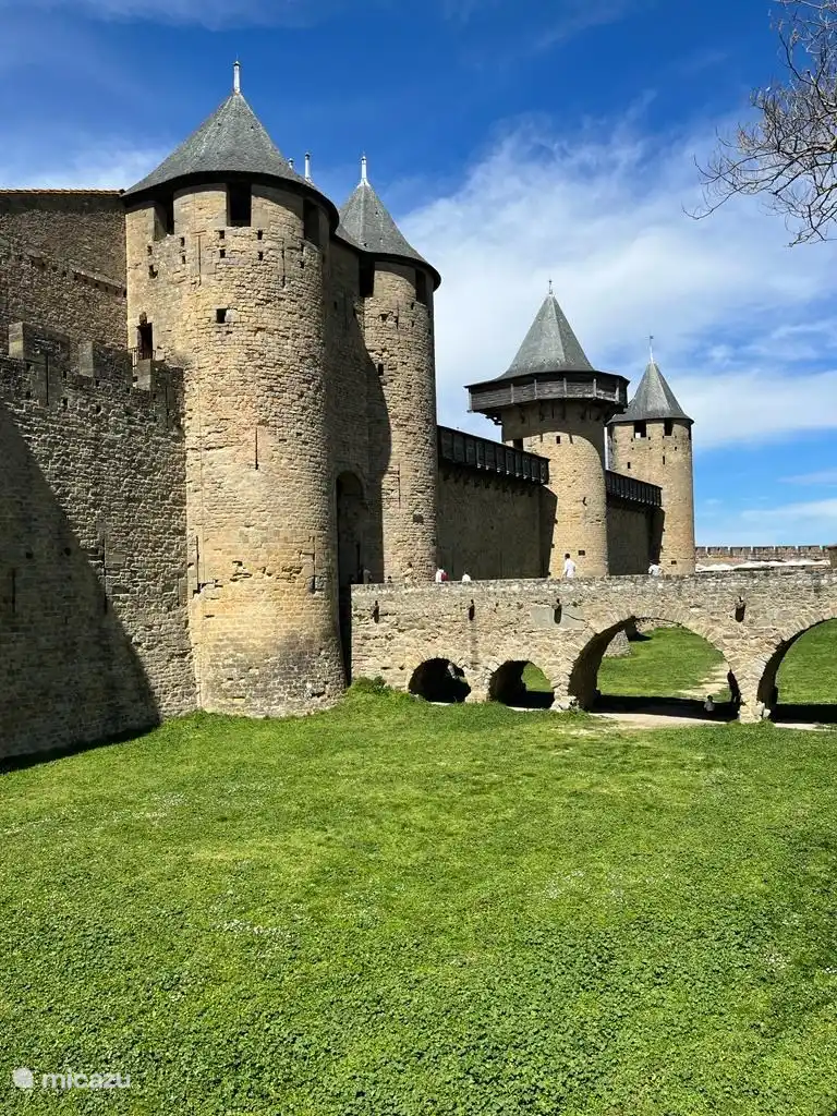 Carcassonne.