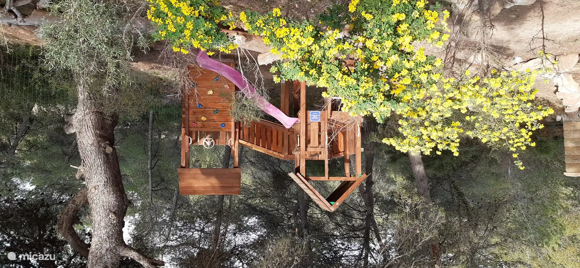 Tour de jeu à l’ombre des arbres.