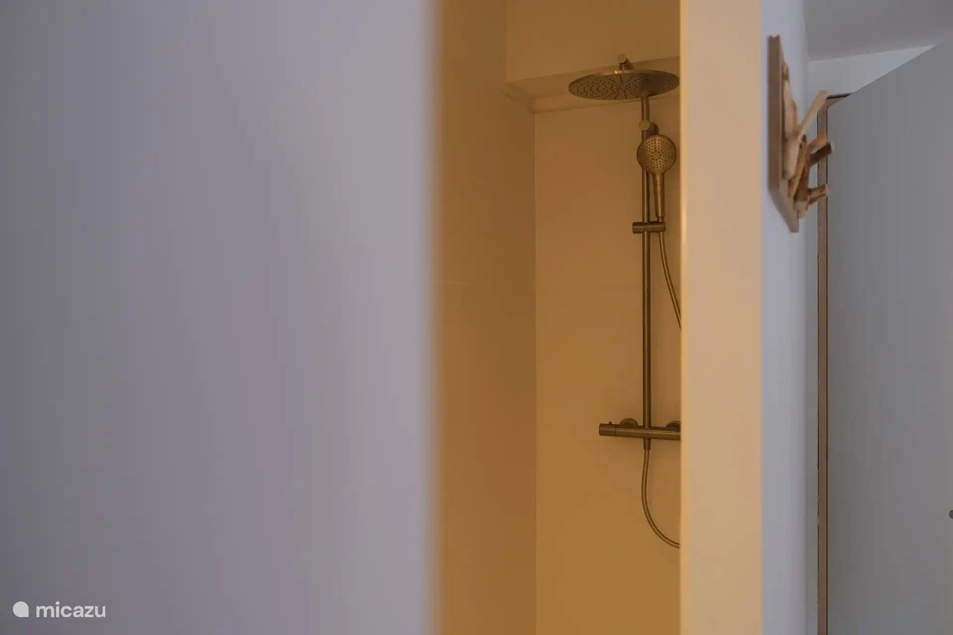 Geräumige begehbare Dusche mit Regendusche und Handbrause.