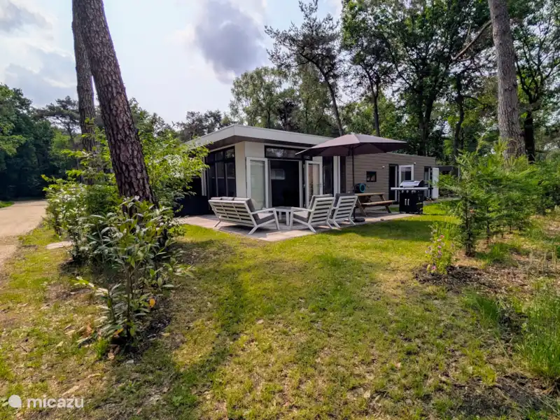 Boslodge + Hottub - Het groene hert huren in Nederland, Overijssel, Haarle - Chalet Boslodge + Hottub - Het groene hert huren in Nederland, Overijssel, Haarle - Chalet