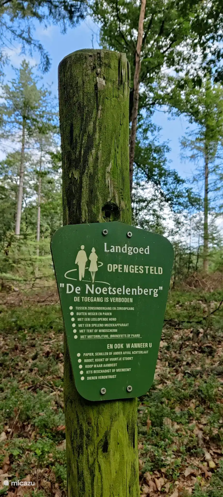 Genießen Sie die wunderschöne Natur