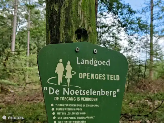 Forest Lodge + Bañera de hidromasaje - El Ciervo Verde en Países Bajos, Overijssel, Haarle - chalet Disfruta de la hermosa naturaleza