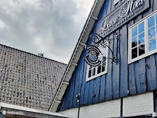 Forest Lodge + Bañera de hidromasaje - El Ciervo Verde en Países Bajos, Overijssel, Haarle - chalet Disfruta de un buen almuerzo en el Holterberg