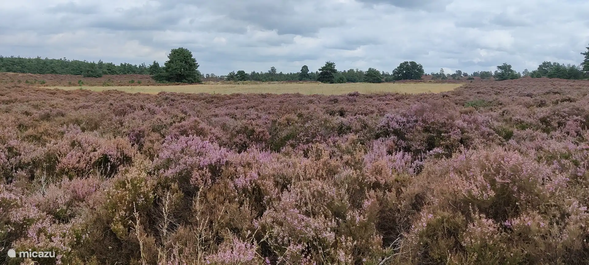 Genießen Sie die wunderschöne Natur