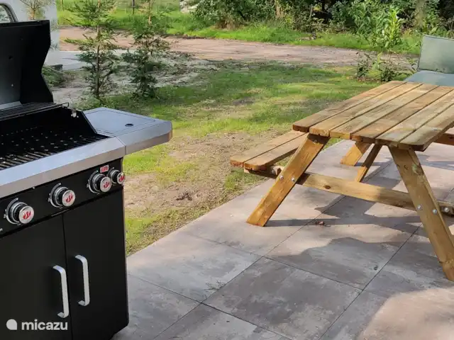 Forest Lodge + Bañera de hidromasaje - El Ciervo Verde en Países Bajos, Overijssel, Haarle - chalet Barbacoa de gas y mesa de picnic