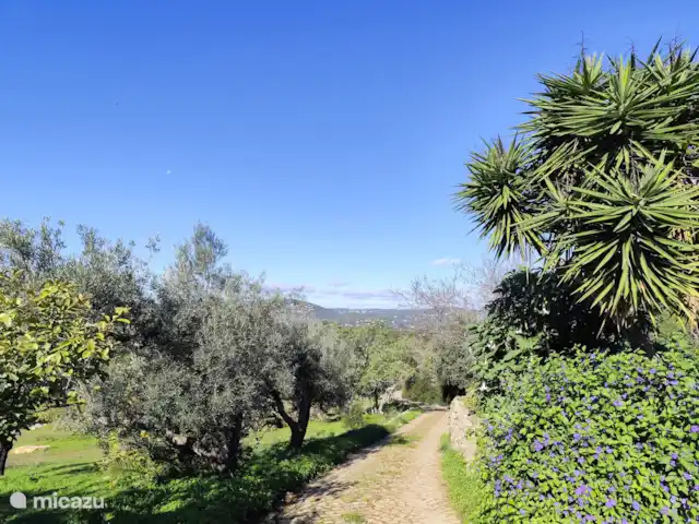 Casa móvel Monte Ouro Verde  | Portugal, Algarve, Estoi - mobil-home Allée