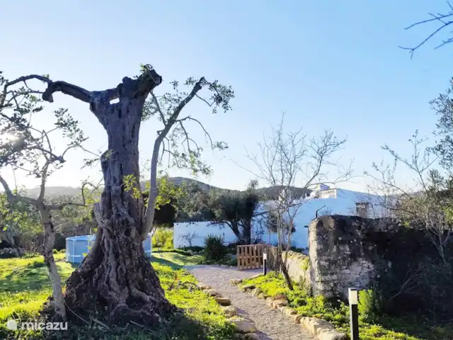 Casa móvel Monte Ouro Verde  | Portugal, Algarve, Estoi - mobil-home Chemin de la casa móvel