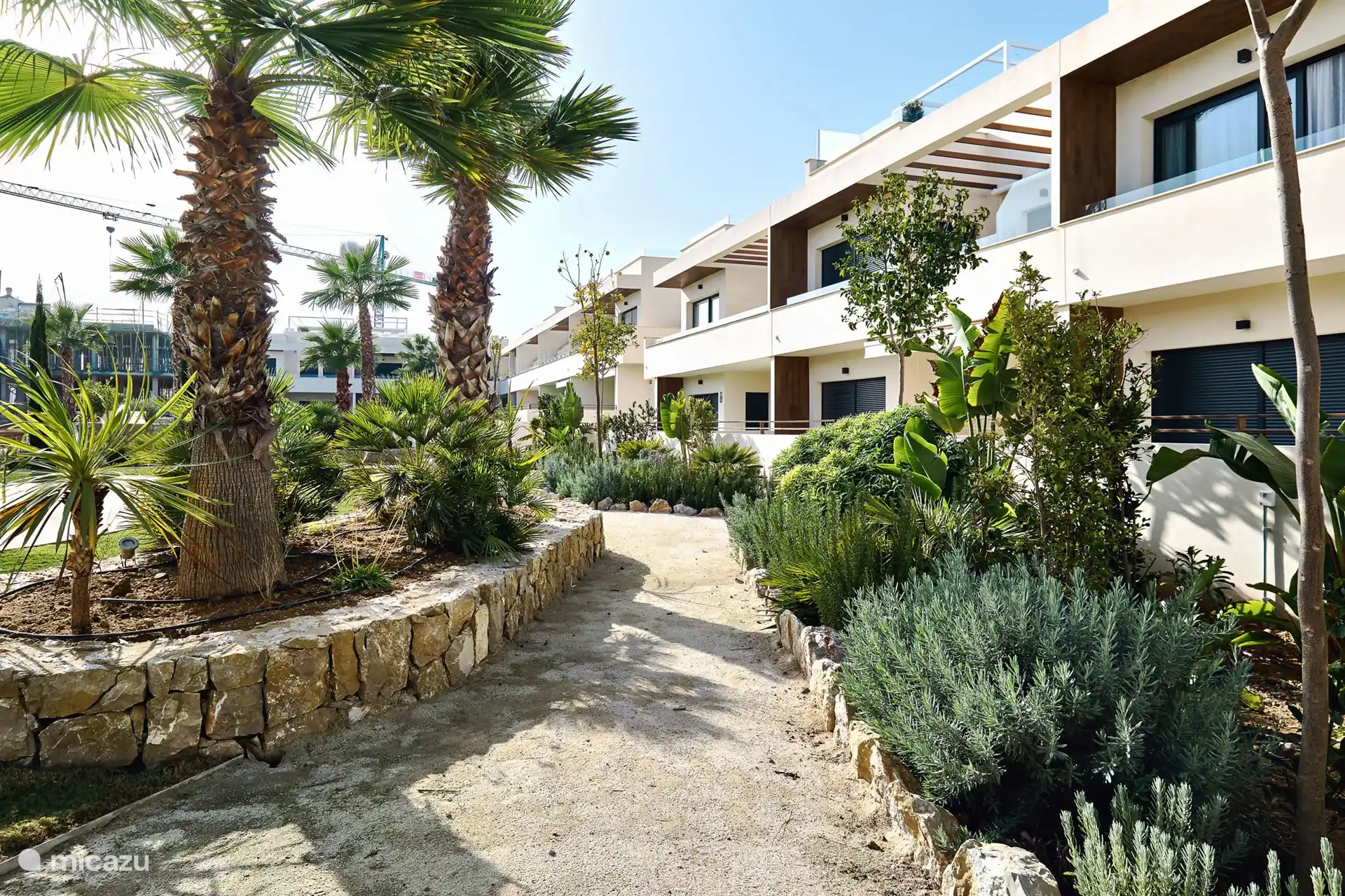 Así es como se ve el hermoso jardín