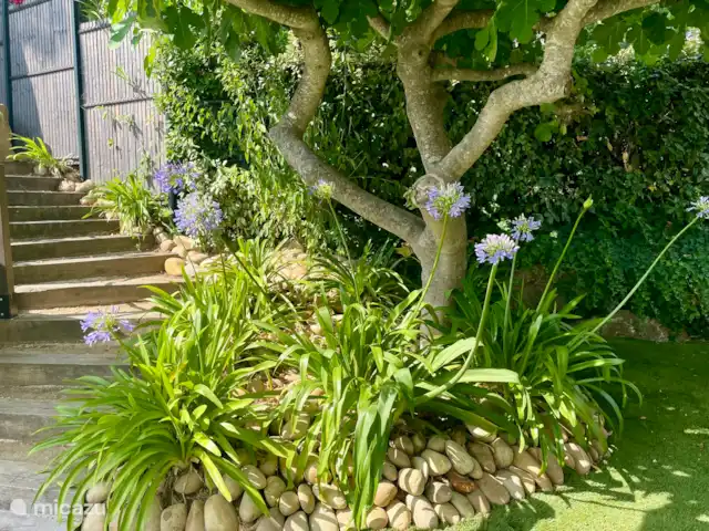 Villa Mont Cabasse en Francia, Costa Azul, Sainte-Maxime - villa