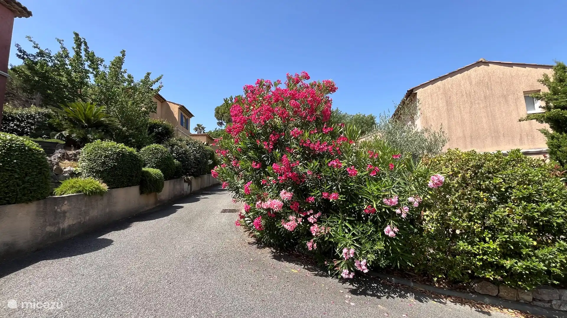 Route d’accès sur le Domaine à la Villa