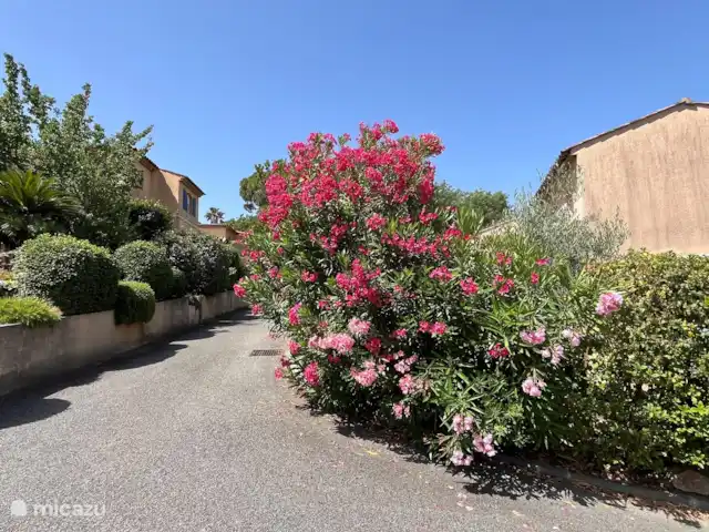 Villa Mont Cabasse en Francia, Costa Azul, Sainte-Maxime - villa Carretera de acceso en Domaine a Villa