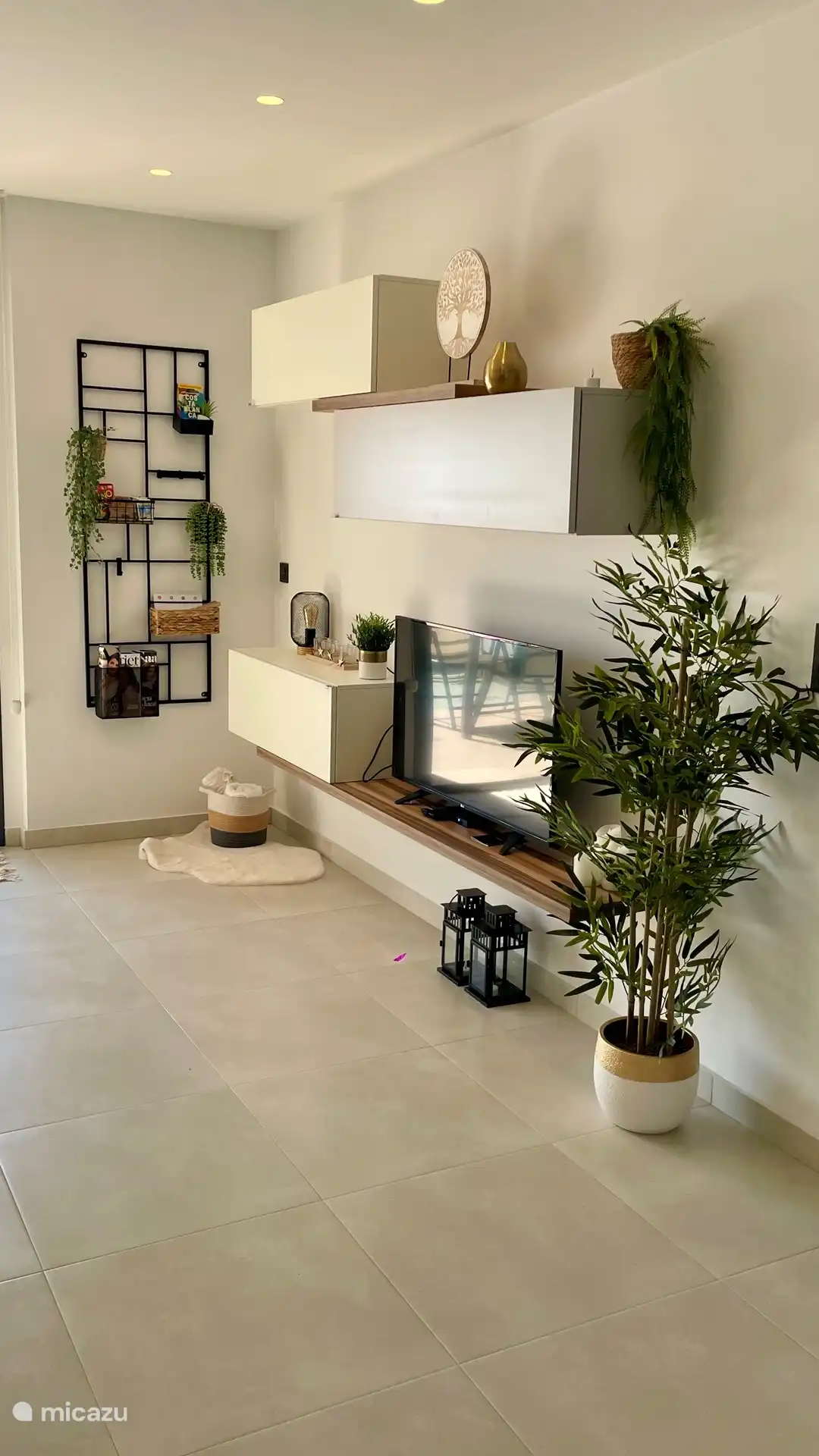 Das Wohnzimmer mit TV. Für eine Weile kein Fernseher? Sie können auch eine Reihe von niederländischen Büchern verwenden.