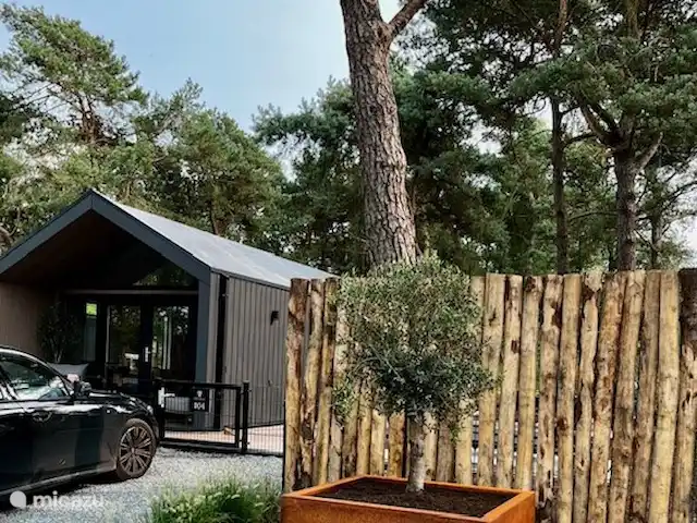 Royal Resort Cosy Cabin Deluxe huren in Nederland, Overijssel, Haarle - chalet Royal Resort Cosy Cabin Deluxe huren in Nederland, Overijssel, Haarle - chalet