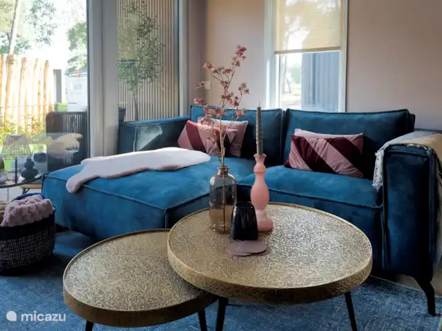 Royal Resort Cosy Cabin Deluxe huren in Nederland, Overijssel, Haarle - chalet Zithoek