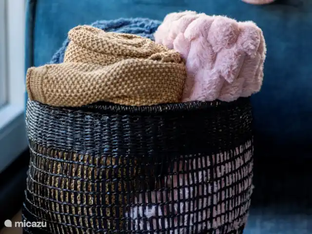 Royal Resort Cosy Cabin Deluxe huren in Nederland, Overijssel, Haarle - chalet Dekens