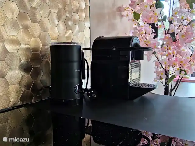 Royal Resort Cosy Cabin Deluxe huren in Nederland, Overijssel, Haarle - chalet Nespresso koffie & Melkopschuimer