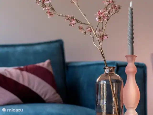 Royal Resort Cosy Cabin Deluxe huren in Nederland, Overijssel, Haarle - chalet Zithoek