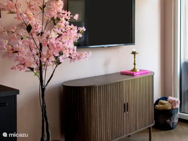 Royal Resort Cosy Cabin Deluxe huren in Nederland, Overijssel, Haarle - chalet Zithoek met TV