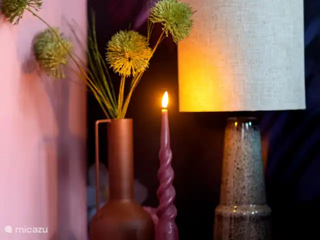 Royal Resort Cosy Cabin Deluxe huren in Nederland, Overijssel, Haarle - chalet Decoratie