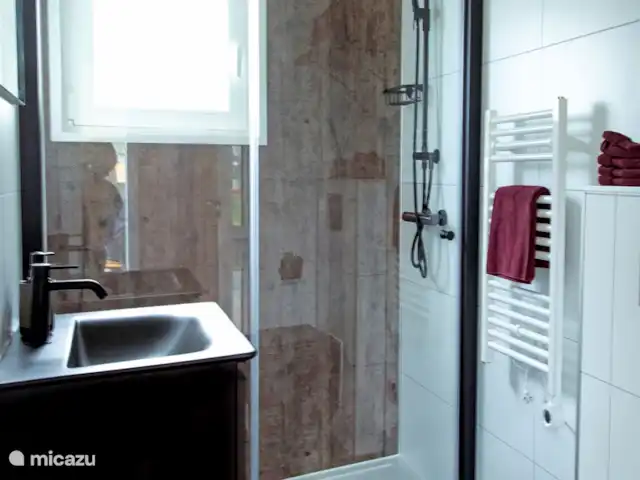 Royal Resort Cosy Cabin Deluxe huren in Nederland, Overijssel, Haarle - chalet Badkamer Royal Resort