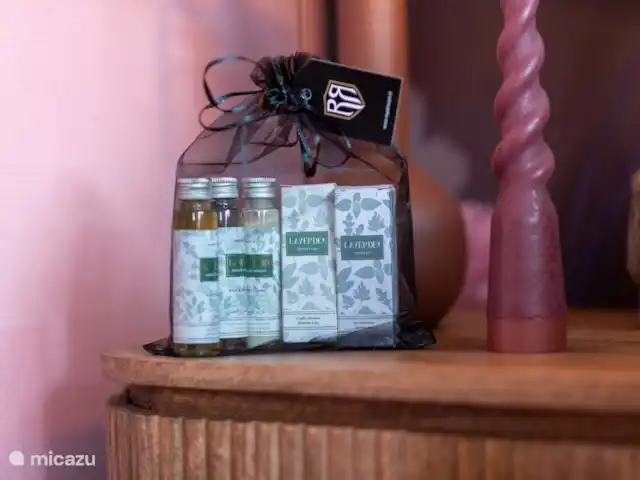 Royal Resort Cosy Cabin Deluxe huren in Nederland, Overijssel, Haarle - chalet Badkamer service pakketje voor elke gast