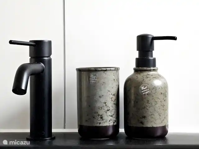 Royal Resort Cosy Cabin Deluxe huren in Nederland, Overijssel, Haarle - chalet Badkamer