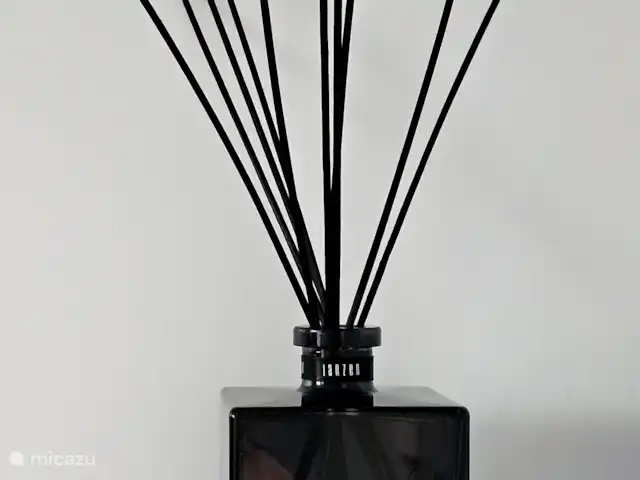 Royal Resort Cosy Cabin Deluxe huren in Nederland, Overijssel, Haarle - chalet Badkamer