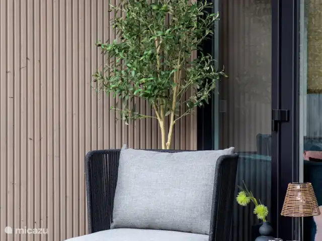 Royal Resort Cosy Cabin Deluxe huren in Nederland, Overijssel, Haarle - chalet Veranda