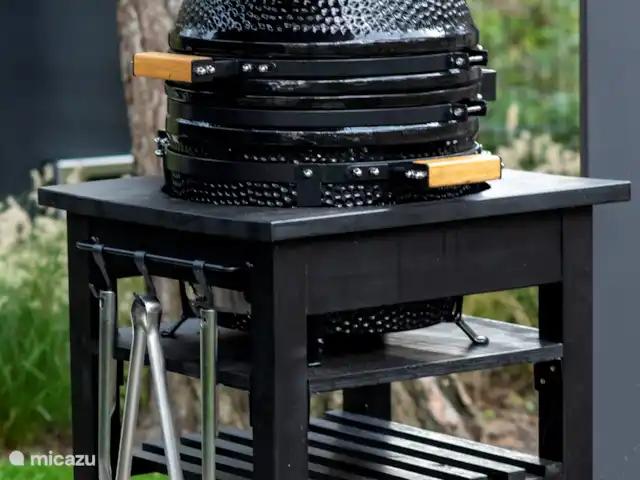 Royal Resort Cosy Cabin Deluxe huren in Nederland, Overijssel, Haarle - chalet BBQ