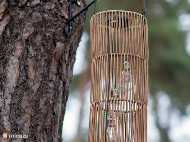 Royal Resort Cosy Cabin Deluxe huren in Nederland, Overijssel, Haarle - chalet Tuin Royal Resort