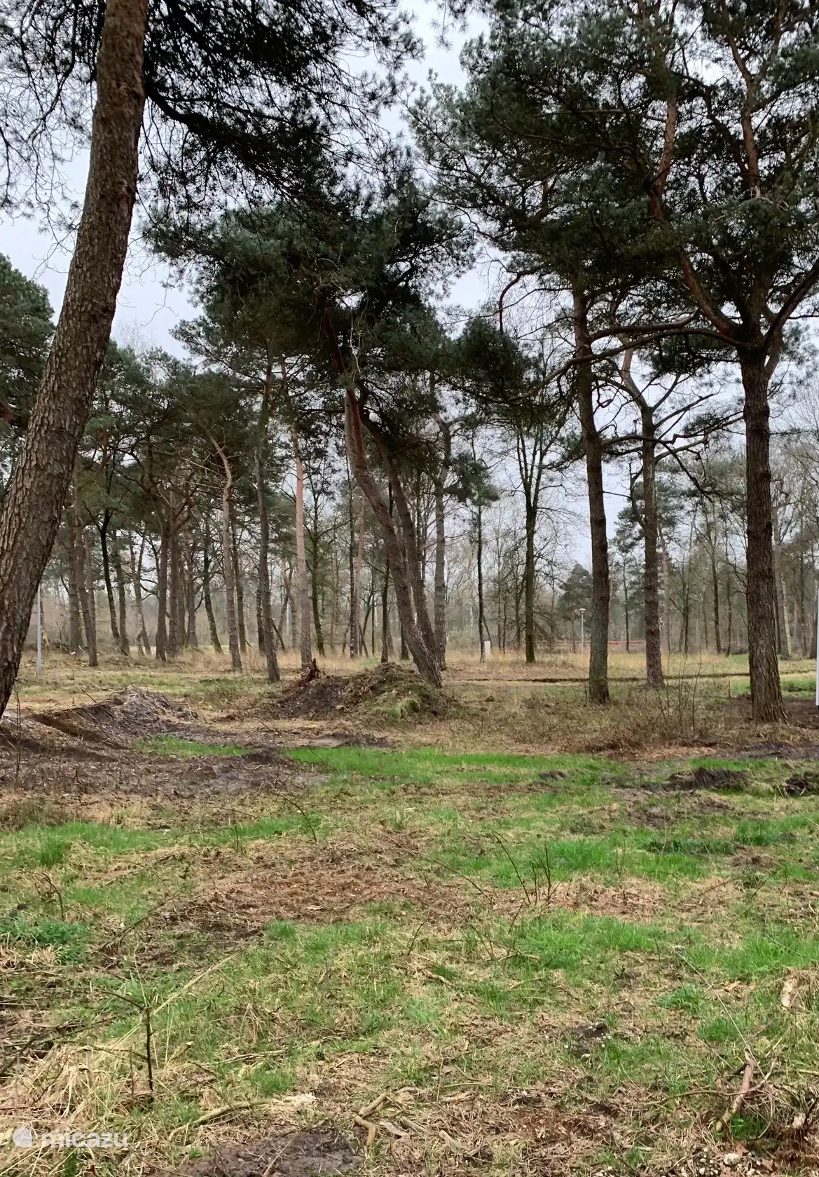 Bospark Het Groene Hert