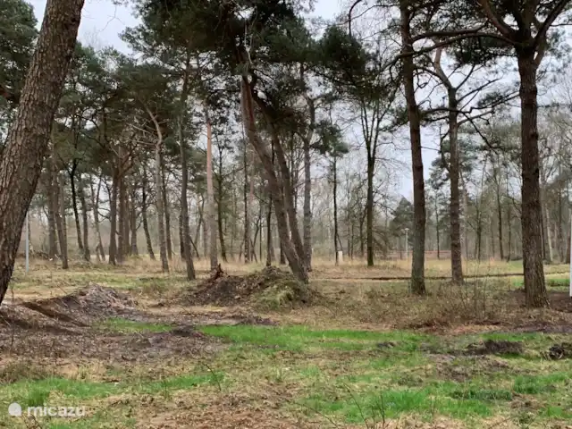 Royal Resort Cosy Cabin Deluxe huren in Nederland, Overijssel, Haarle - chalet Bospark Het Groene Hert