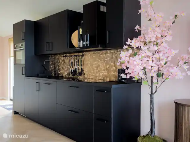 Royal Resort Cosy Cabin Deluxe huren in Nederland, Overijssel, Haarle - chalet Keuken Royal Resort Cosy Cabin