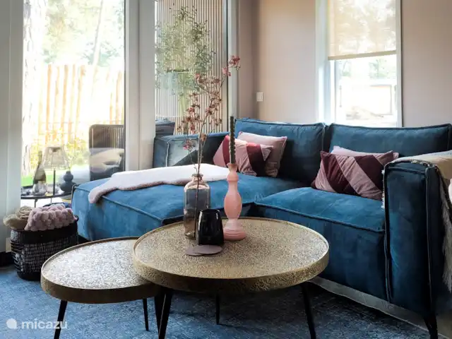 Royal Resort Cosy Cabin Deluxe huren in Nederland, Overijssel, Haarle - chalet Zithoek