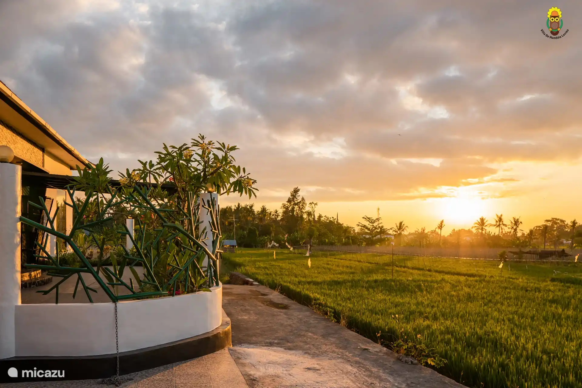 The sunset over the fields