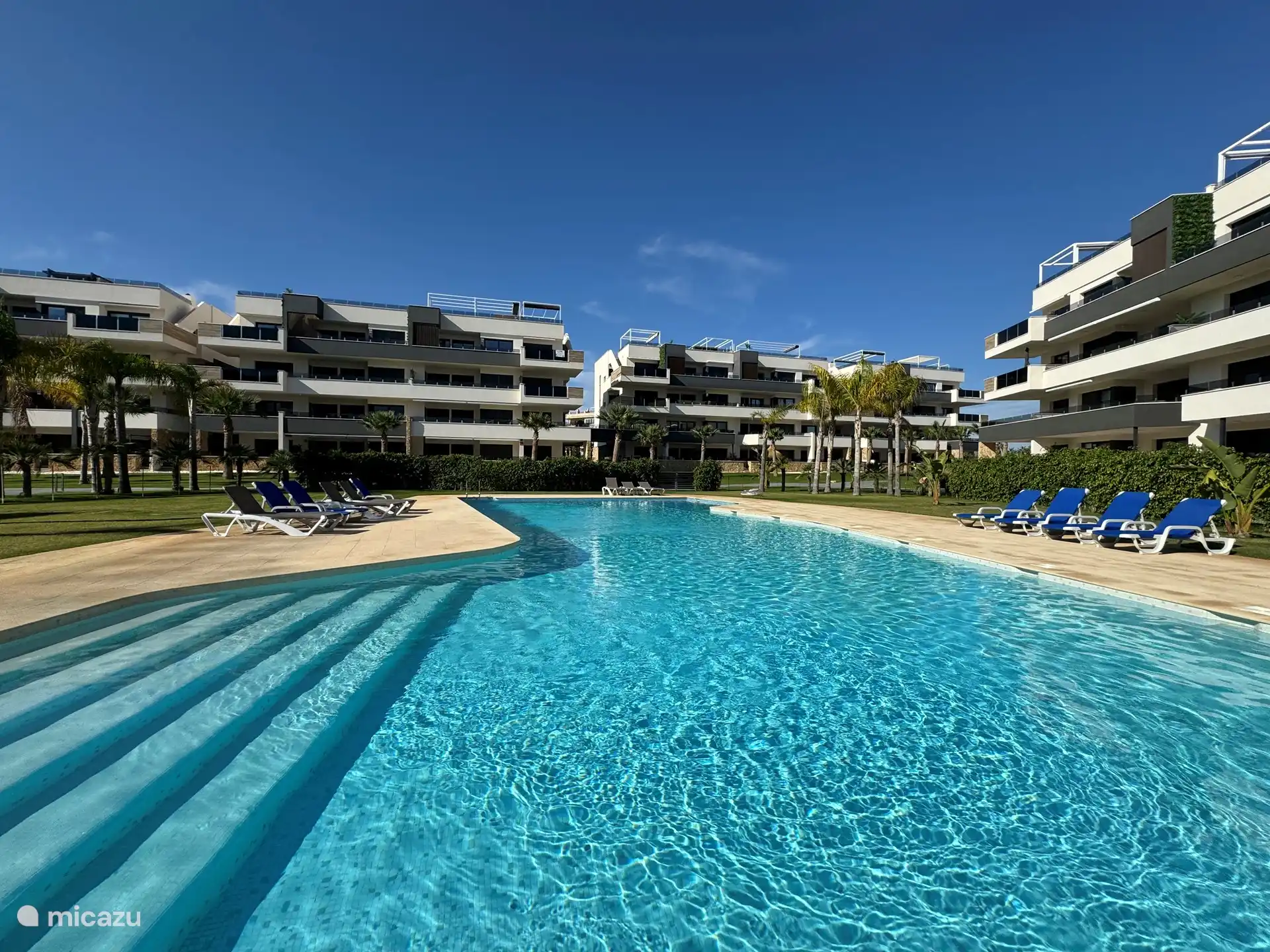 Schwimmbad + Sonnenliegen 