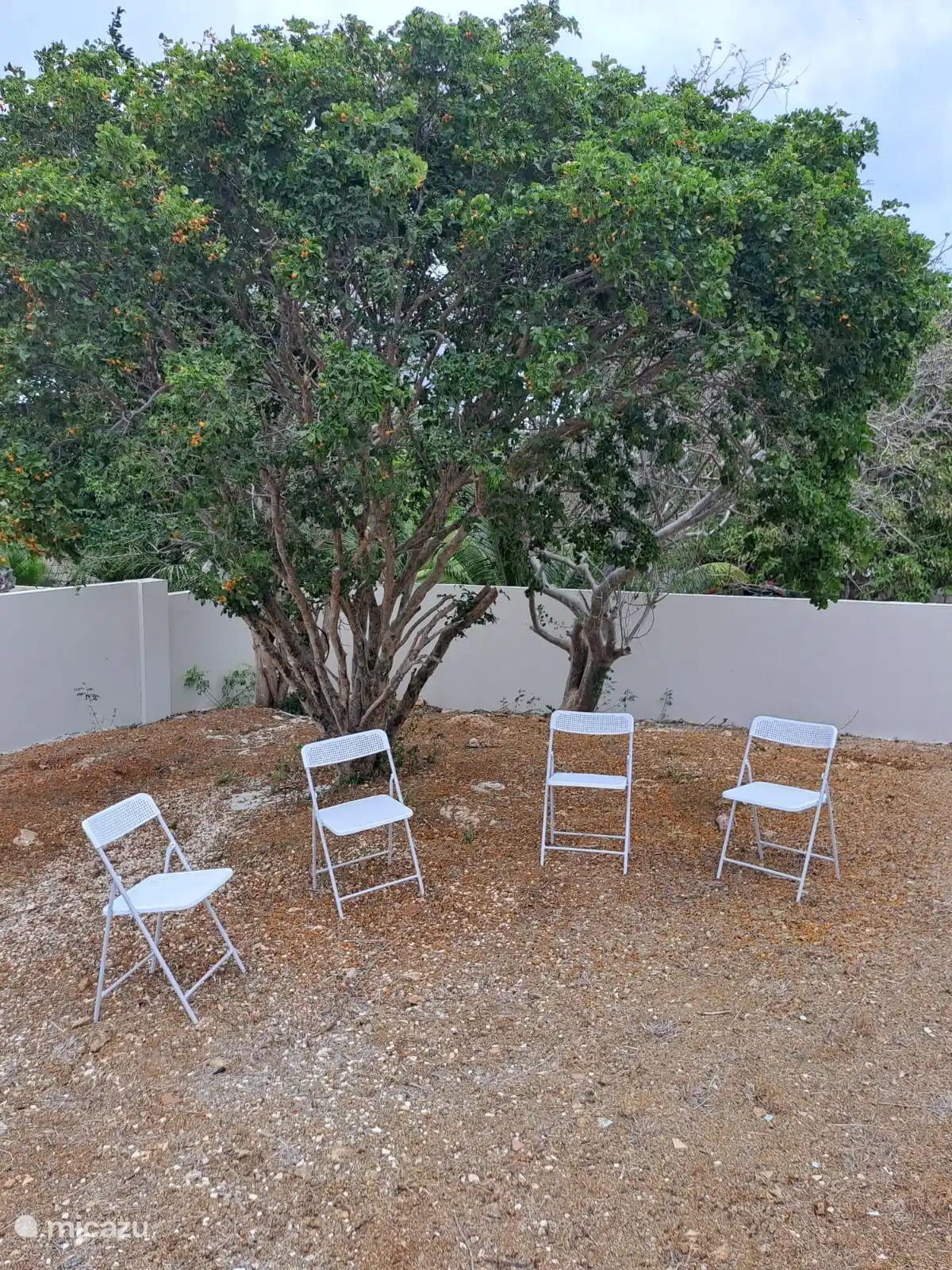 Casa di Magna Ferienwohnungen - 56 in Curaçao, Banda Ariba (Ost), Montan'i Rei - Appartement