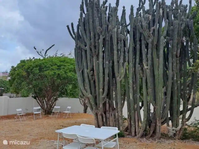 Casa di Magna Appartements - 56 | Curaçao, Banda Ariba (est), Montan'i Rei - appartement Jardin