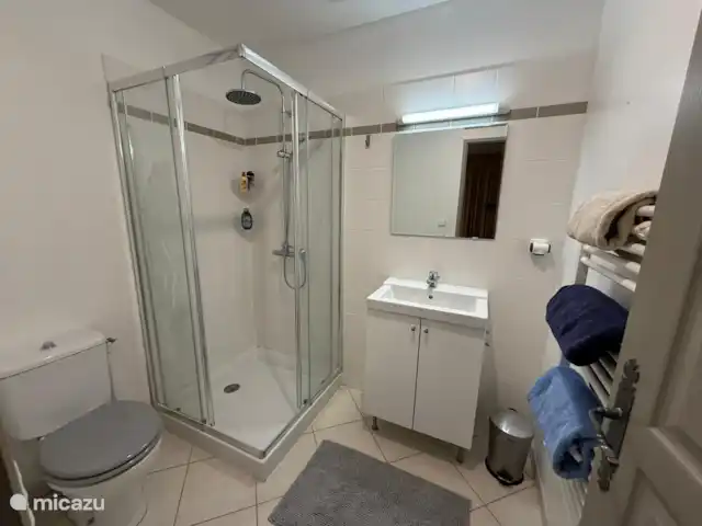 Le Chene - Le Grande Tourtre en Francia, Charente, Chalais (Charente) - bungaló Cuarto de baño en suite con ducha, inodoro y lavabo