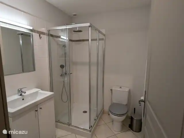 Le Chene - Le Grande Tourtre en Francia, Charente, Chalais (Charente) - bungaló Cuarto de baño 1 con WC, ducha y lavabo