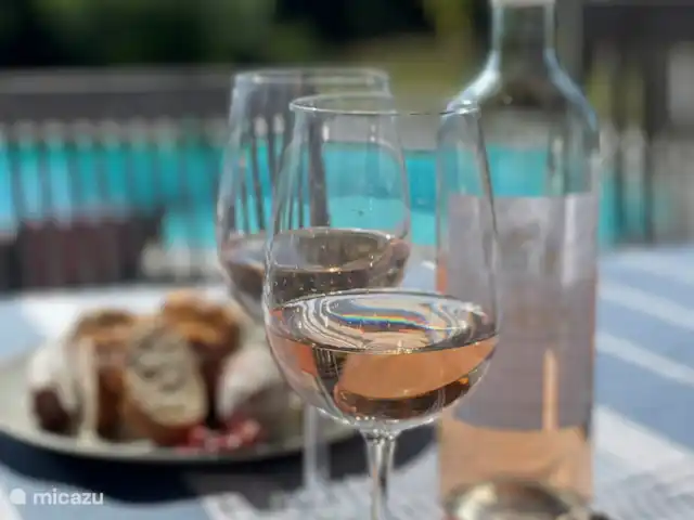 Le Chene - Le Grande Tourtre en Francia, Charente, Chalais (Charente) - bungaló Una buena copa de vino rosado para refrescarse