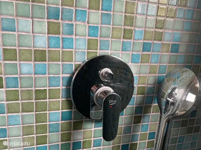 Casa Lotus | Espagne, Costa Blanca, Pilar de la Horadada - appartement Douche