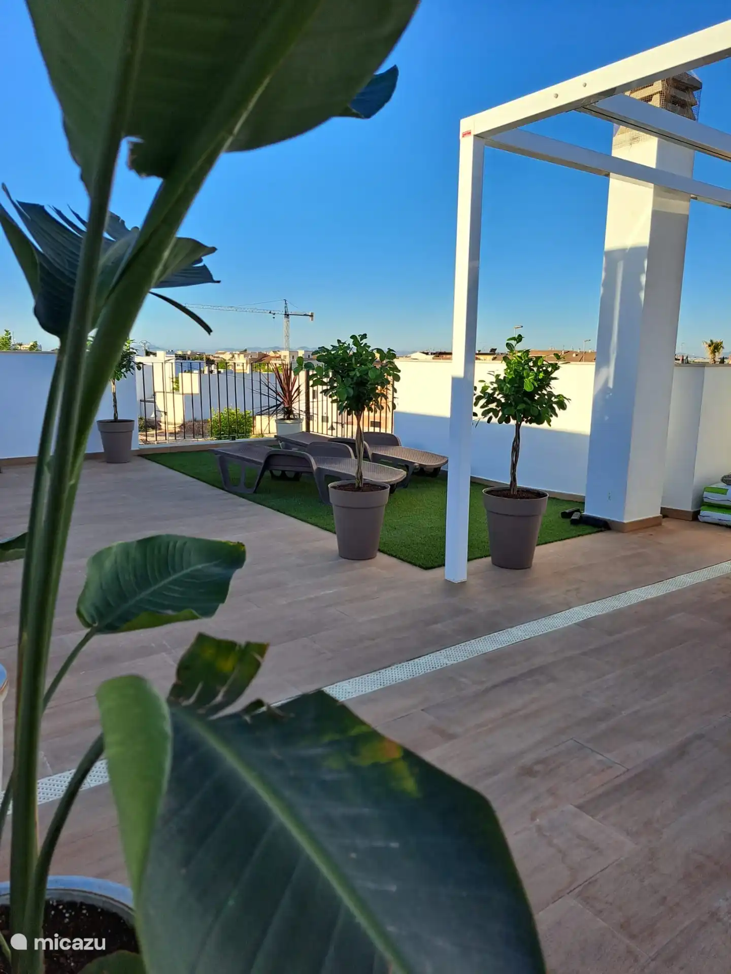 Viele Pflanzen auf der Dachterrasse